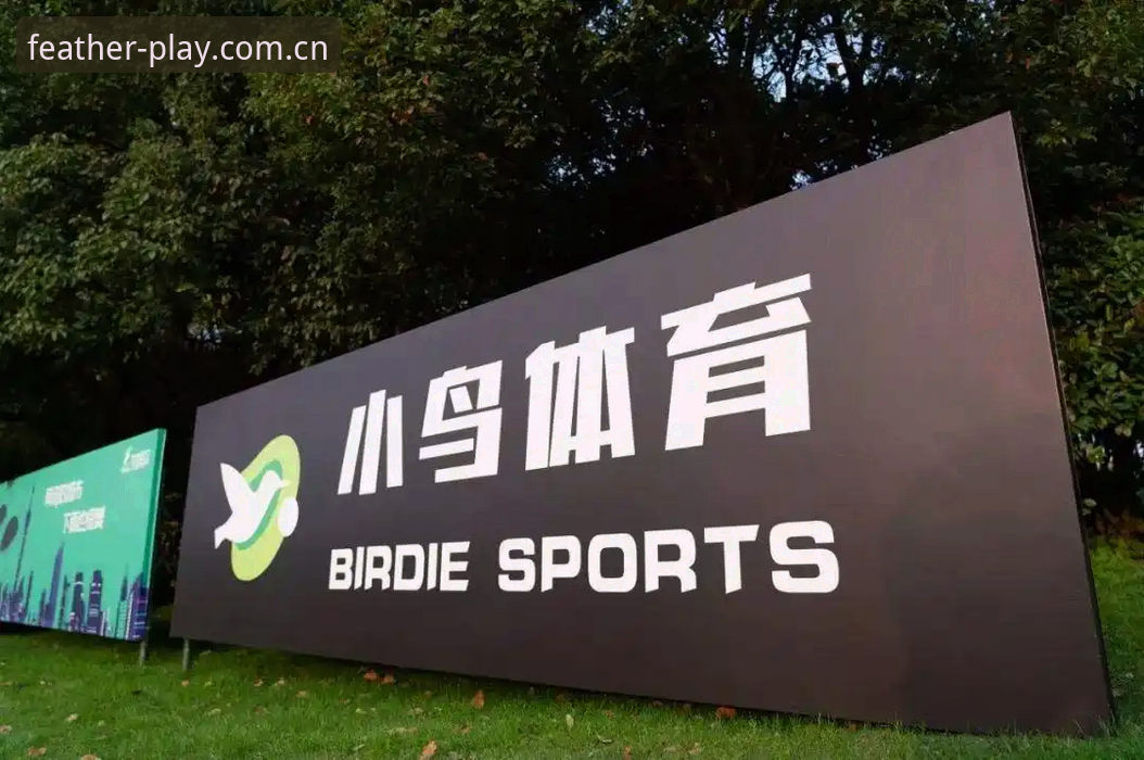 为什么你总找不到小鸟体育最新入口？2026老用户亲测官方唯一推荐通道